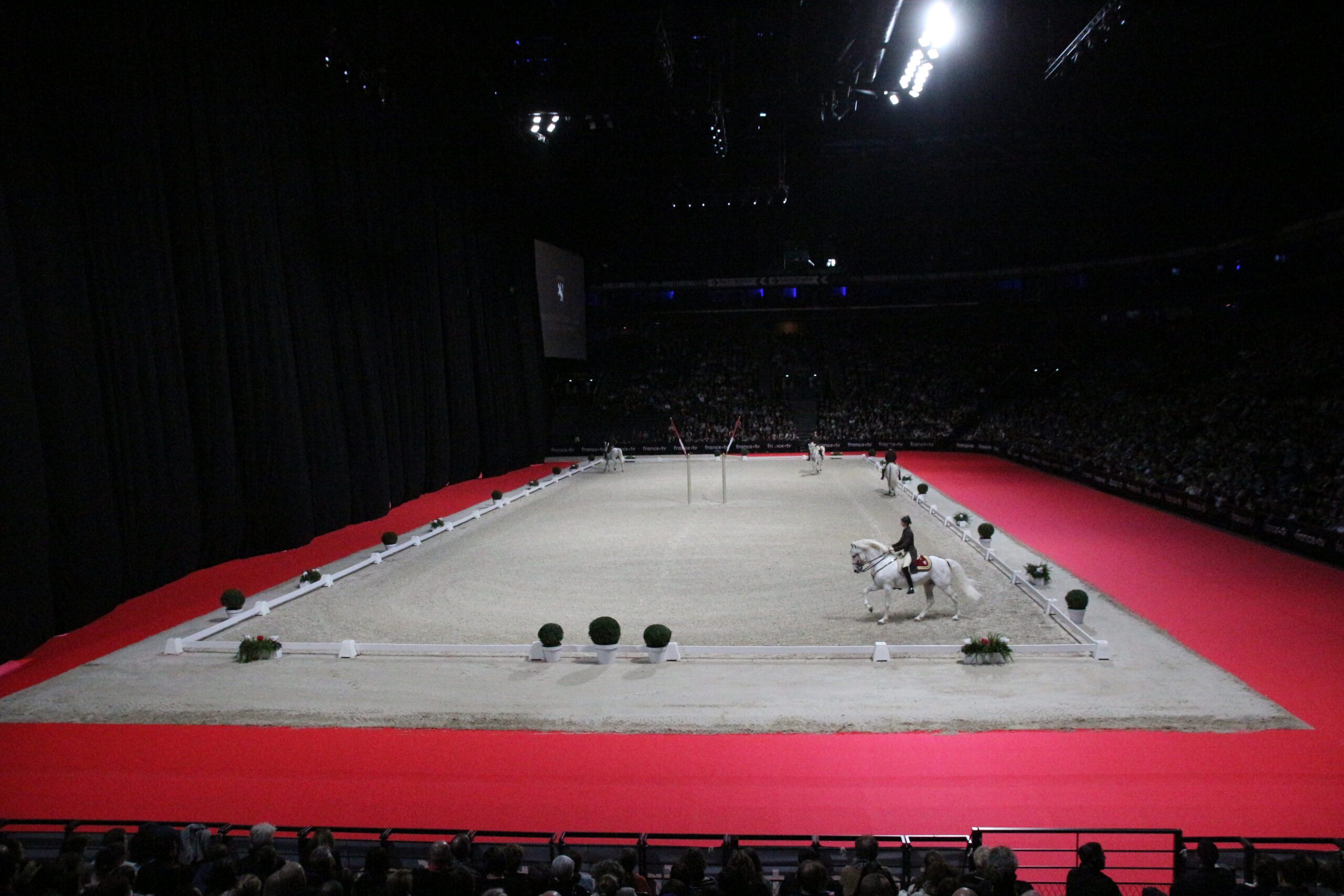 L'école espagnole d'équitation de Vienne à Paris La Défense Arena