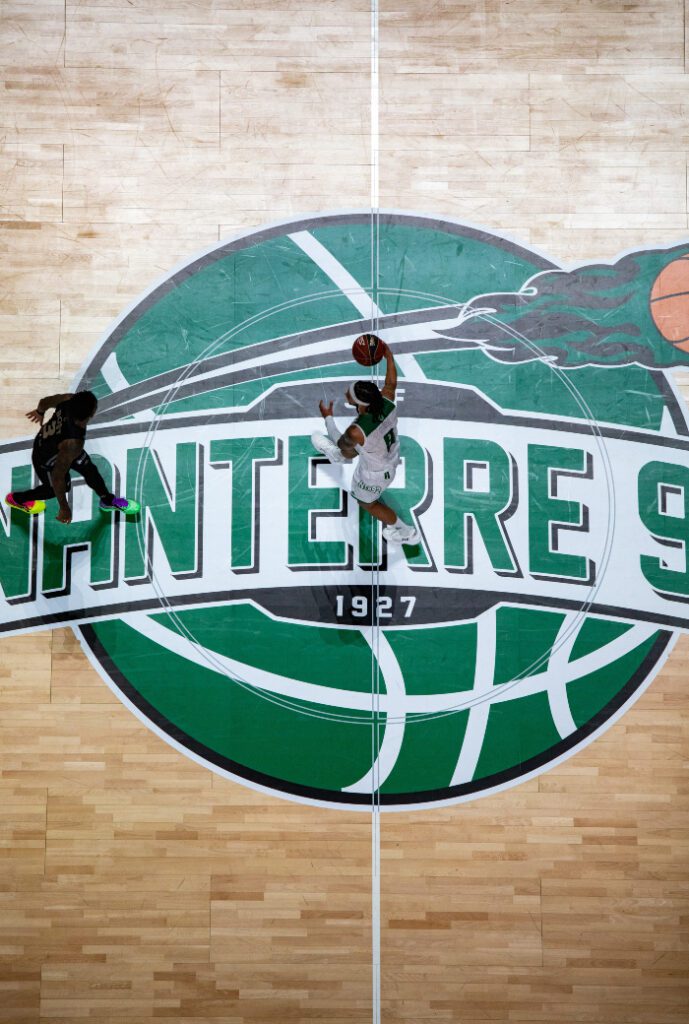 paris la défense arena nanterre 92 LDLC ASVEL