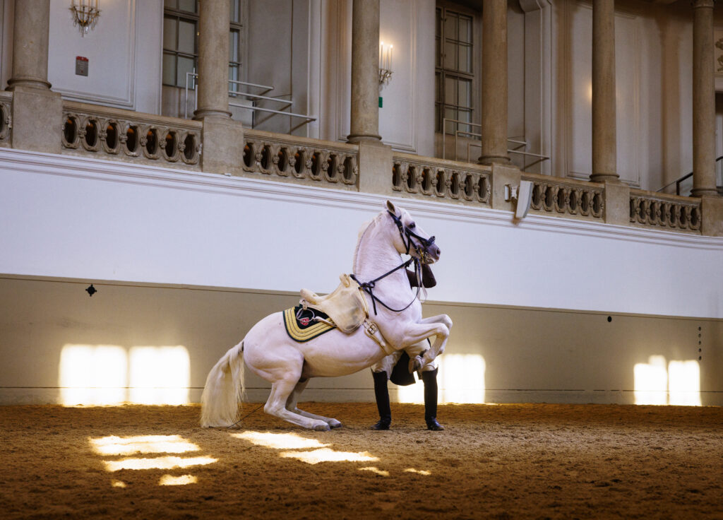 Ecole Espagnole d'Equitation de Vienne a Paris La Defense Arena