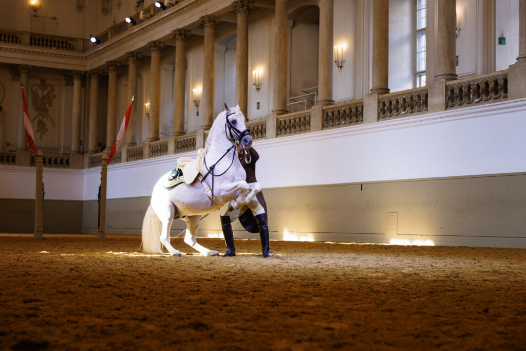 Ecole Espagnole d'Equitation de Vienne a Paris La Defense Arena