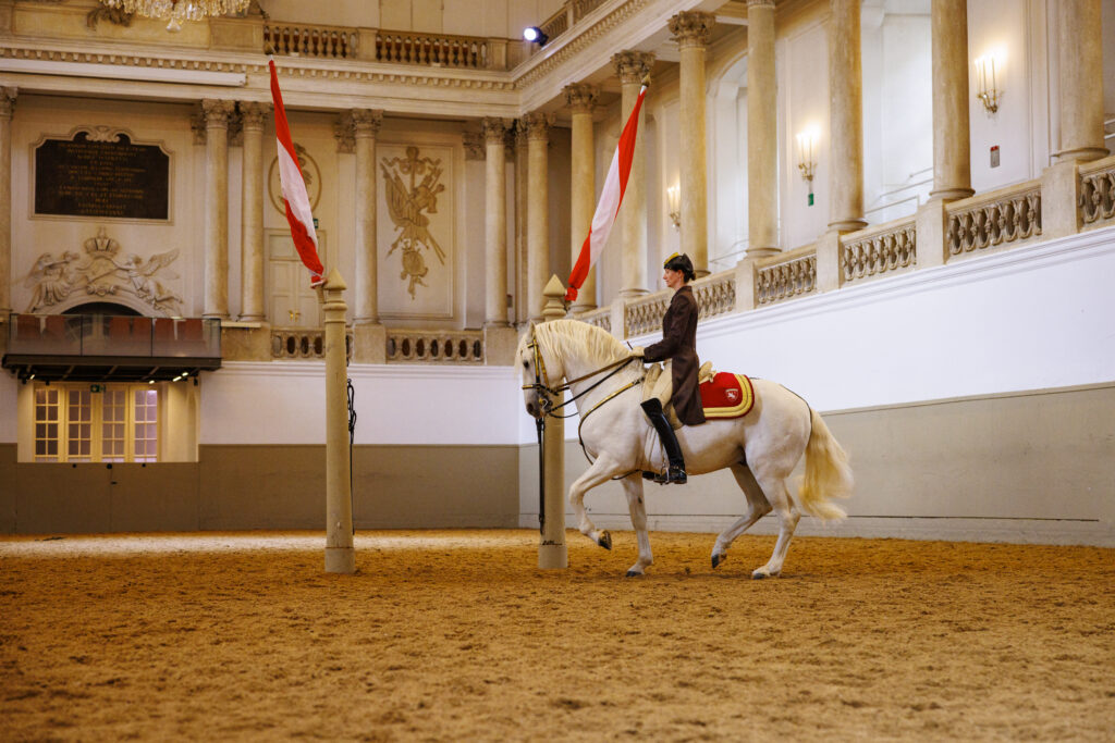 Ecole Espagnole d'Equitation de Vienne a Paris La Defense Arena