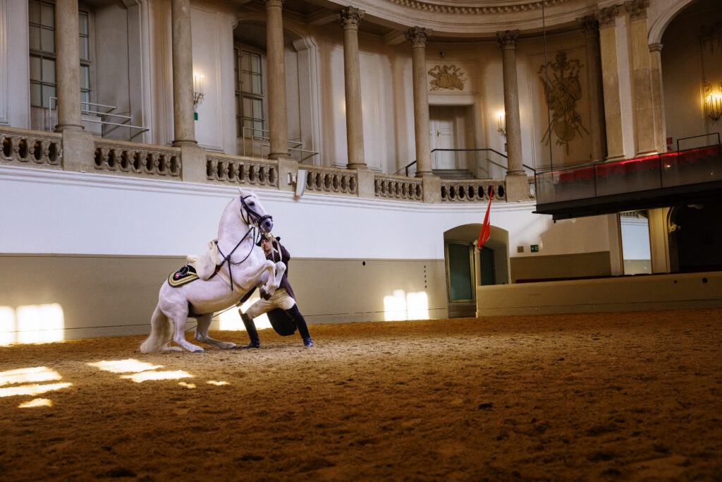 Ecole Espagnole d'Equitation de Vienne a Paris La Defense Arena