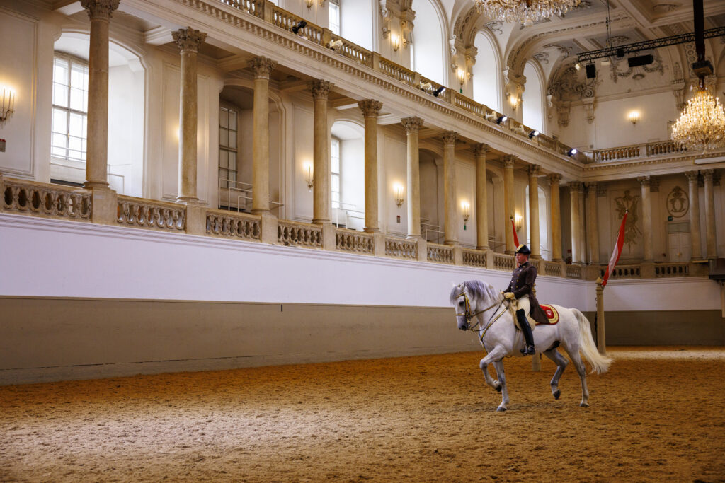 Ecole Espagnole d'Equitation de Vienne a Paris La Defense Arena