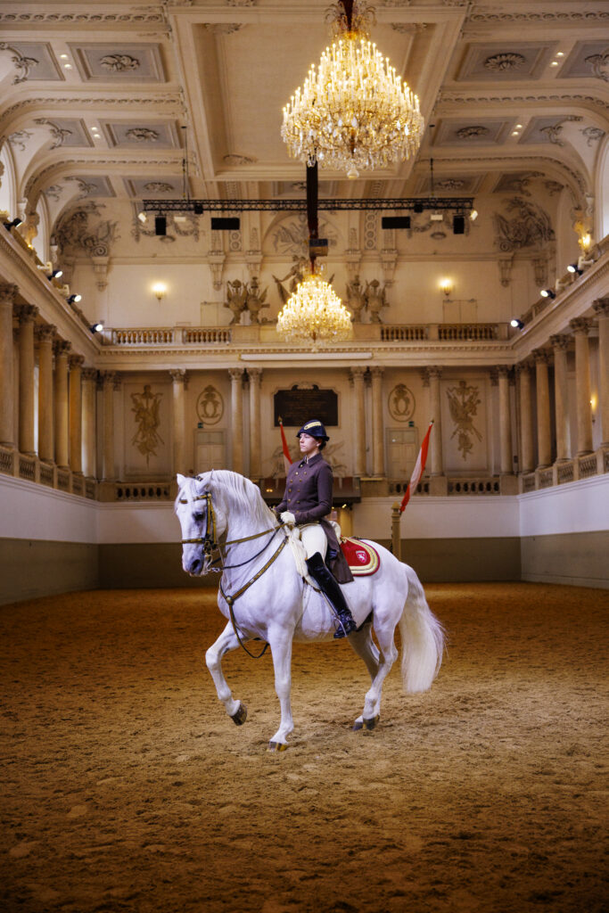 Ecole Espagnole d'Equitation de Vienne a Paris La Defense Arena