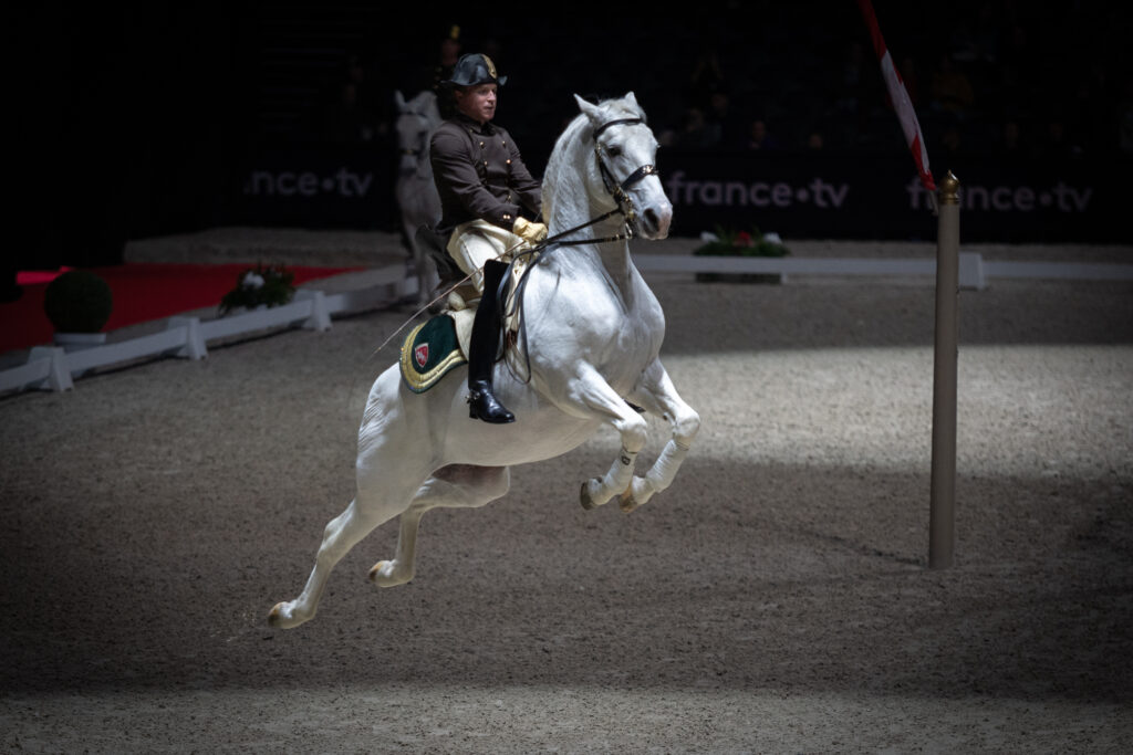 Ecole Espagnole d'Equitation de Vienne a Paris La Defense Arena