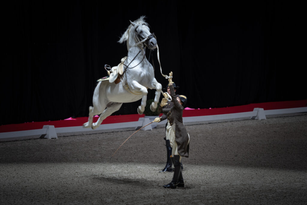 Ecole Espagnole d'Equitation de Vienne a Paris La Defense Arena
